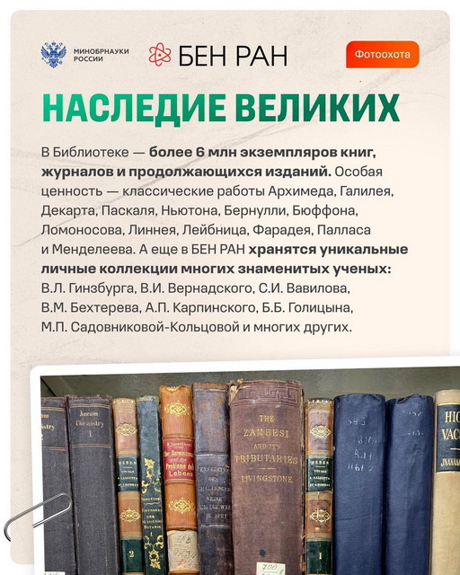 photo_7.jpg